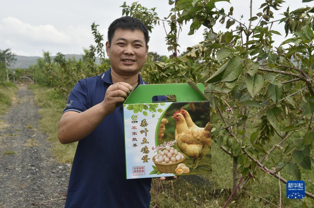 捕鱼游戏电脑破解版